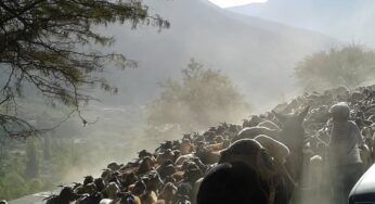Limarí Aventura