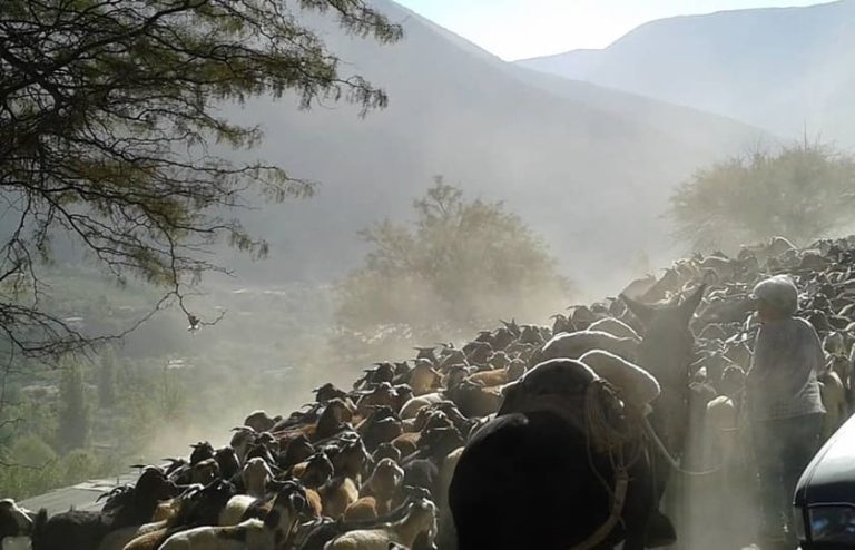 Lee más sobre el artículo Limarí Aventura