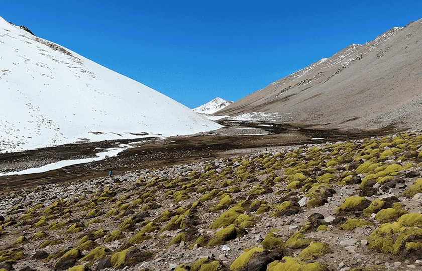 En este momento estás viendo Río Sasso, un santuario de la naturaleza