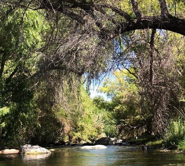 Aldea Biocultural Ayelén