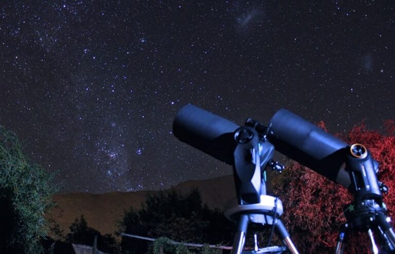 Lee más sobre el artículo Amatista Travels