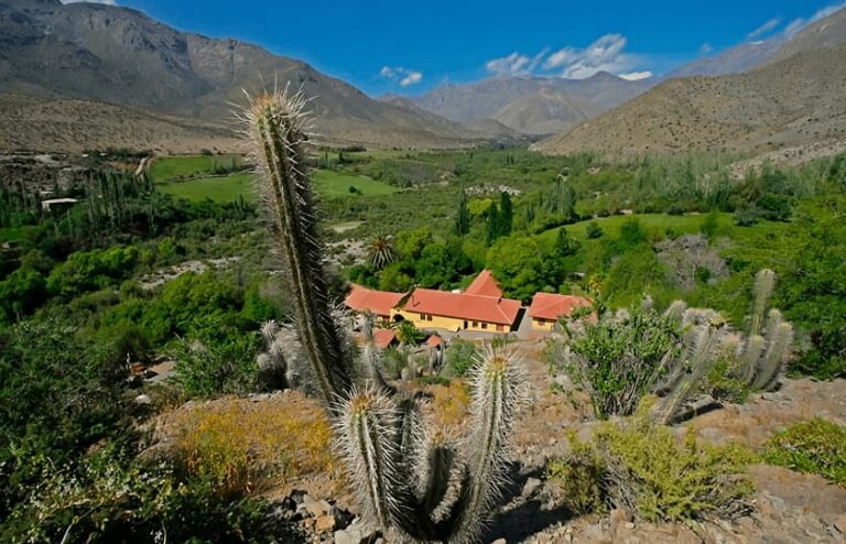 Lee más sobre el artículo Hacienda Los Andes
