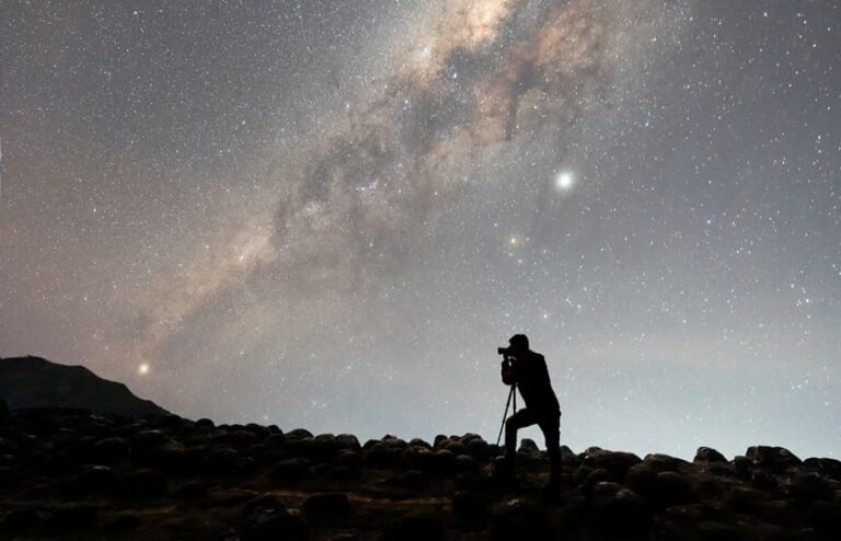 Lee más sobre el artículo Turismo Delfines