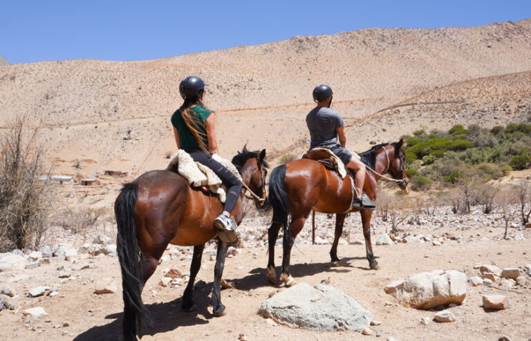 Lee más sobre el artículo Cabalgatas en el Valle de Elqui