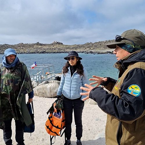 Archipielago-de-humbodlt